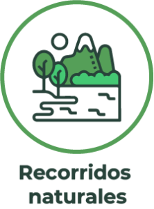Recurso 46